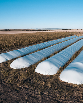 Polymer sleeves for grain storage