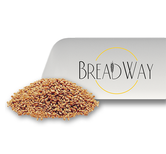 Polymer sleeves for grain storage - 1